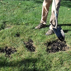 Amend the Soil