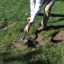 Remove Turf