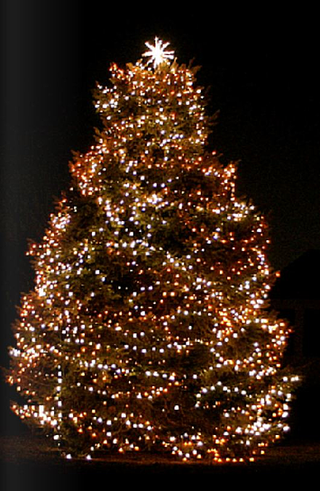 Christmas Tree 2 resized 600