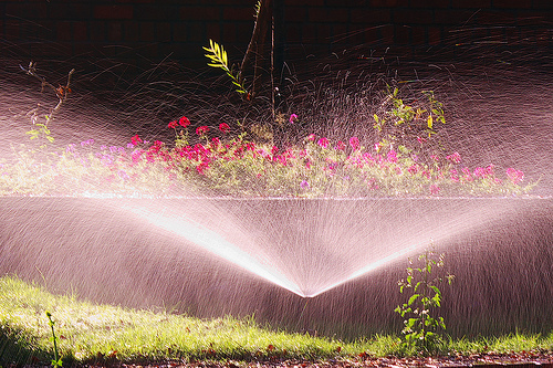 Home Irrigation System