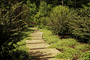 Custom Natural Stone Walkway