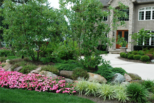 landscape maintenance services