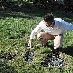 Apply Mulch