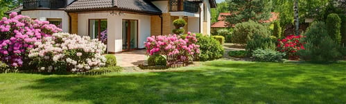5 Landscape Edging Options For Your Home