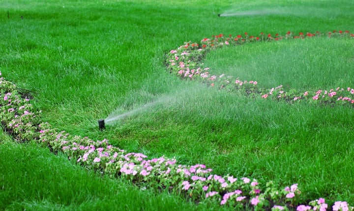 irrigation.jpg