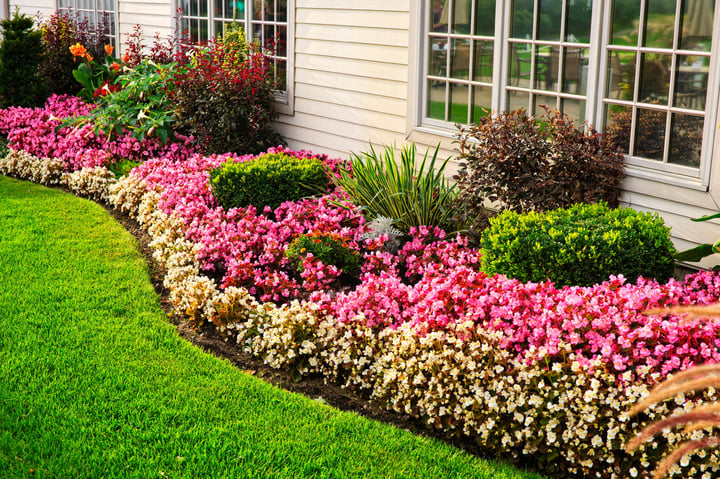 spring-home-landscaping.jpg