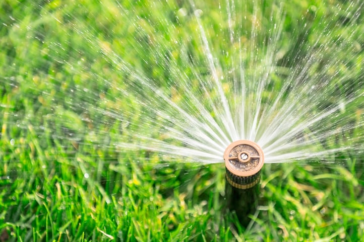landscape-sprinkler-water