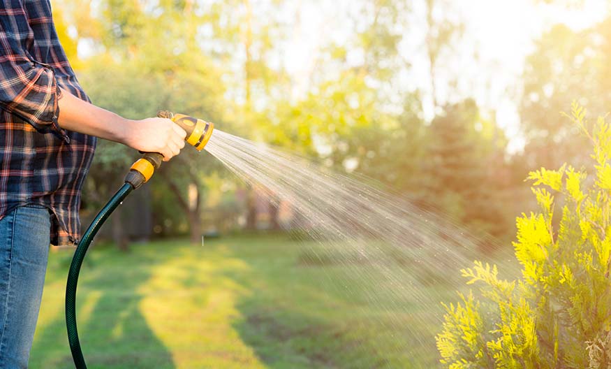CTA-Irrigation-Img