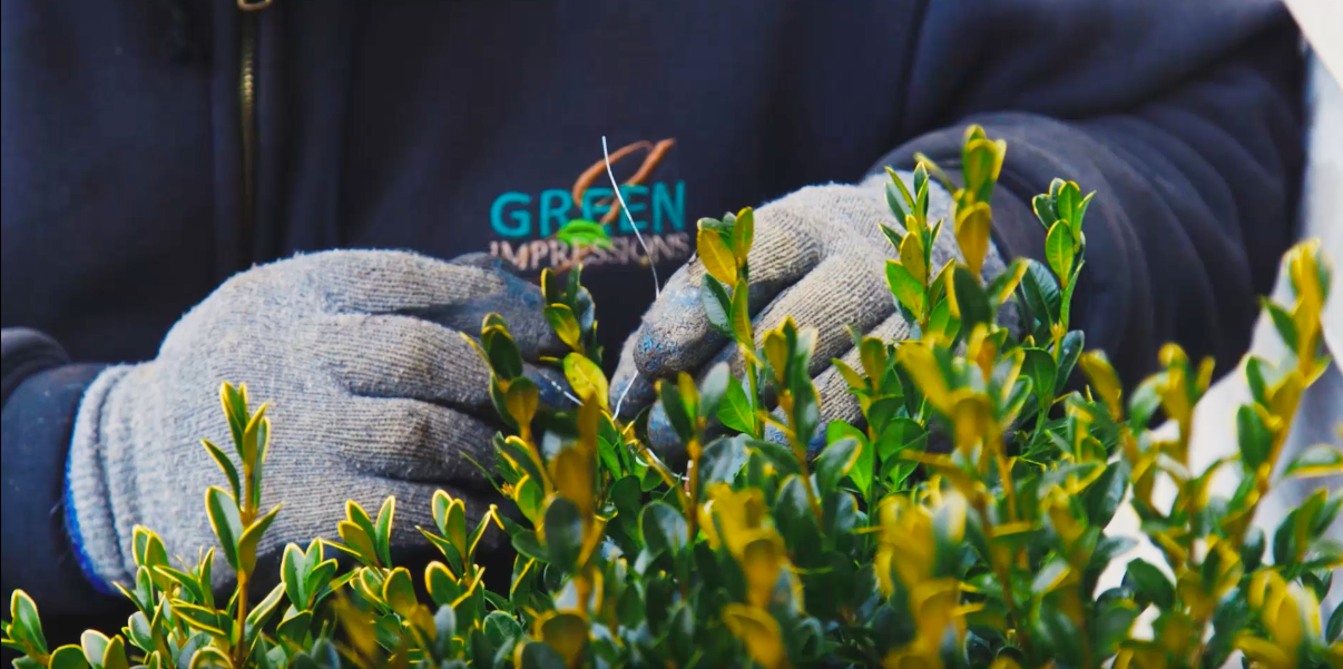 About Green Impressions Landscaping Careers