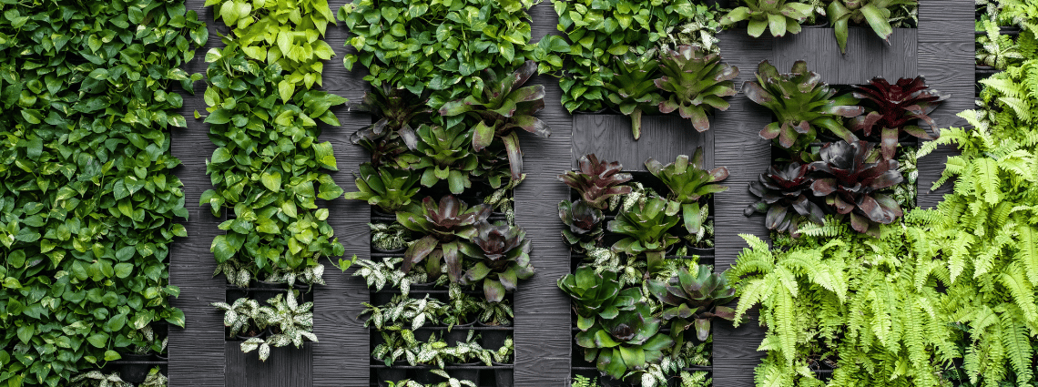 Vertical Wall Garden