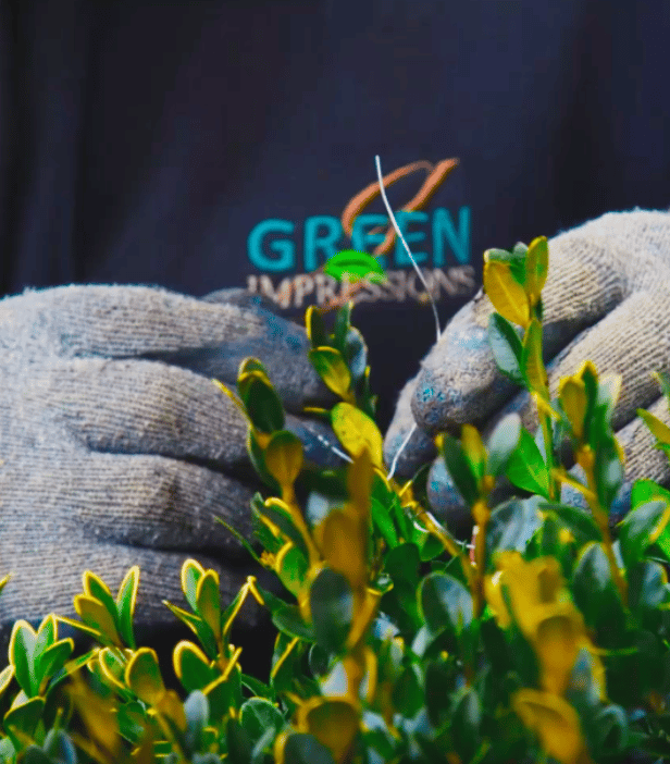 Our Purpose & Mission