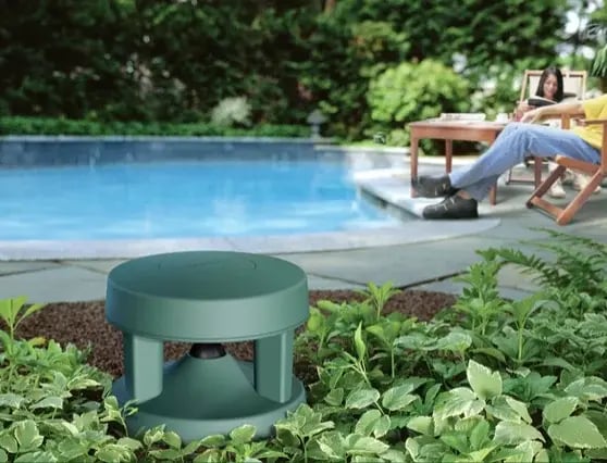 Music to One’s Ears