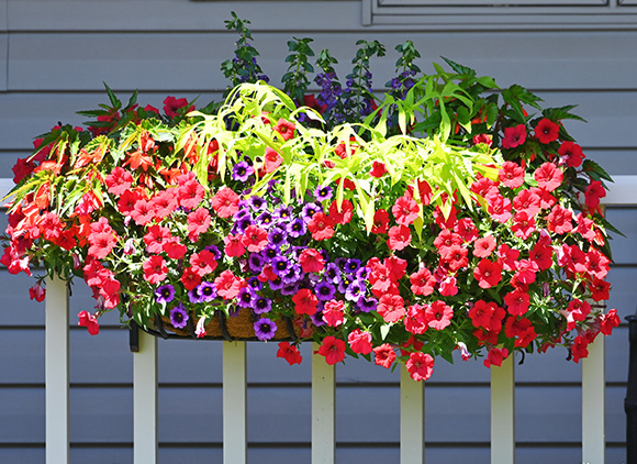 Rail-Hanging Planter Boxes