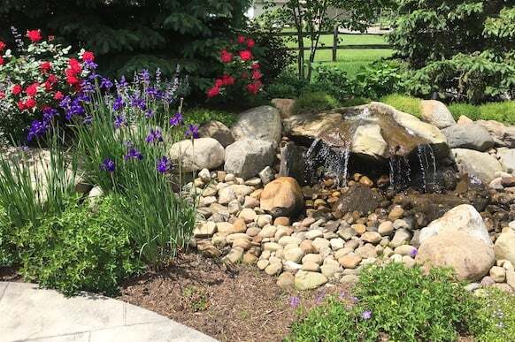 Magenta Plants Around Waterfall