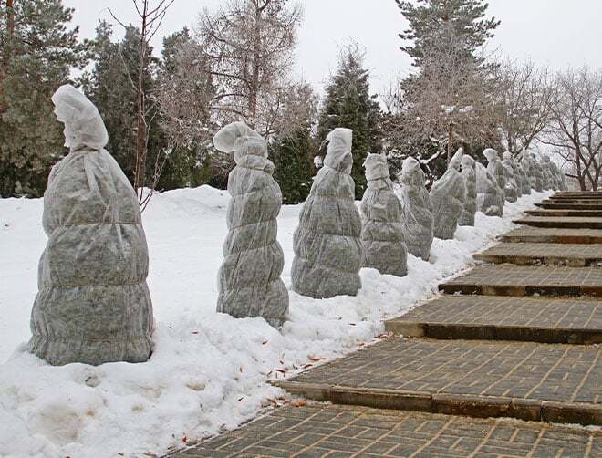 Plant Material Protection