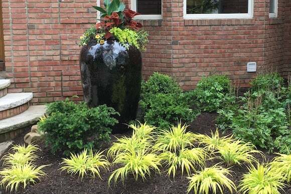 Plants in and Around a Vase in a Front Yard
