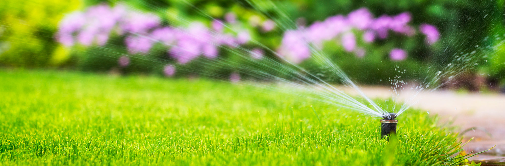 sprinkler system in lawn