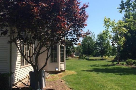 before-landscape-design