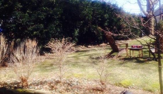 before-landscape-project