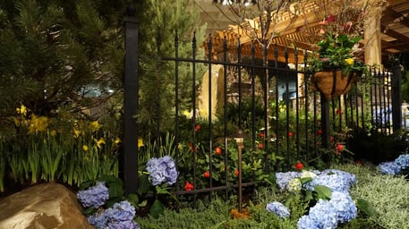 Breakaway-garden-and-pathway