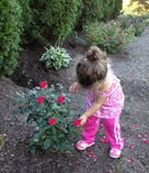 Pondles Water Features are Child Safe