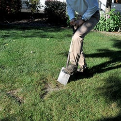 Step 1 Fill dead grass spot Create Border Step 1 Fill dead grass spot Create Border