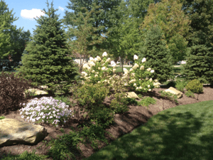 Grounds Management Photo resized 600