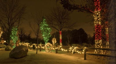Holiday Lighting Display 26 resized 600