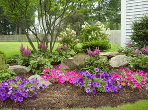 Newly Planted Landscape
