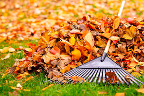 raking-leaves