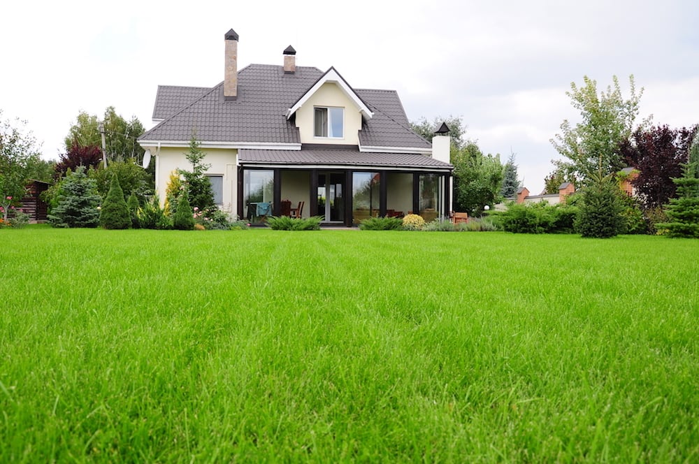 Lawn maintenance and trimming services in Bay Village, OH