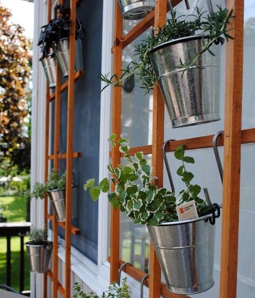vertical-garden