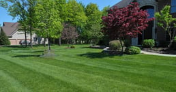 Lawn Care Westlake, OH & Bay Village, OH