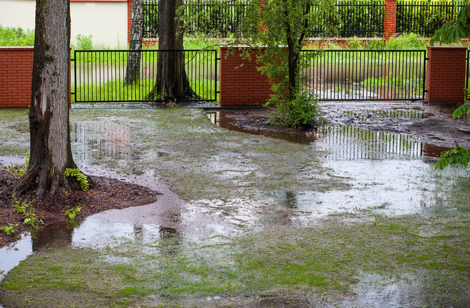 backyard-flooding