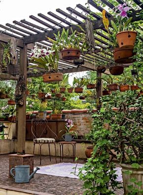 hanging-garden-baskets
