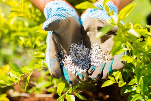 lawn-fertilizer