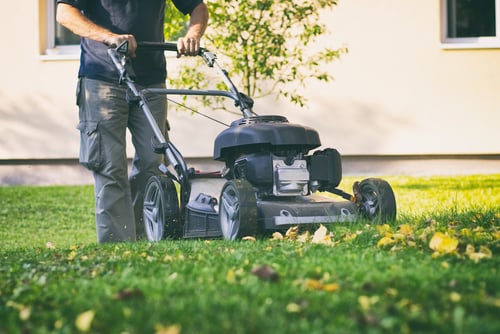 lawn-mower
