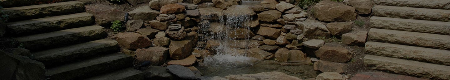 portfolio-bg1