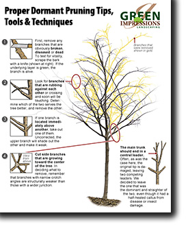 pruning graphic thumb