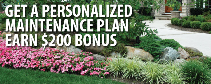 Personal Landscape Analysis