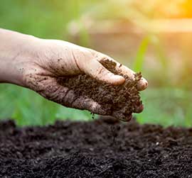 PRESERVES SOIL STRUCTURE