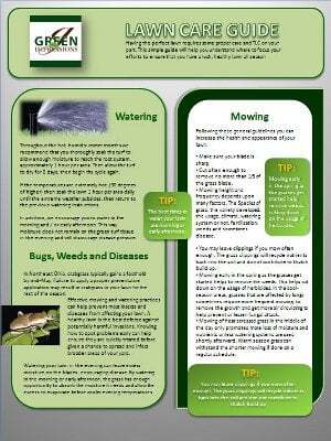 Lawn Care Guide
