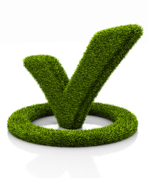 customer satisfaction