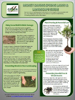 Money Saving Spring Lawn and Landscape Guide