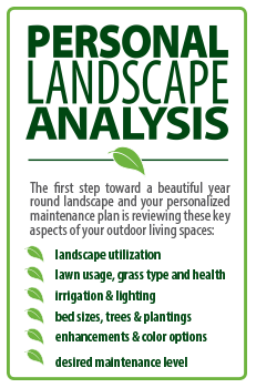 Personal Landscape Analysis