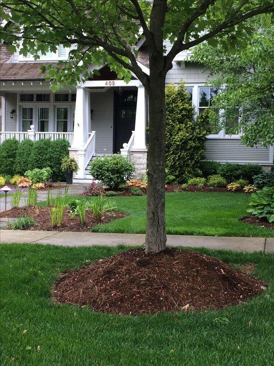 volcano-mulch-example