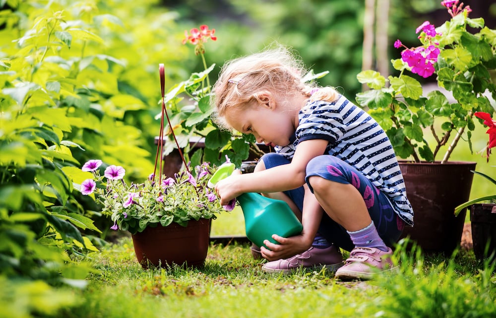 How to Create the Ultimate KidFriendly Backyard